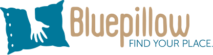 logo blue pillow